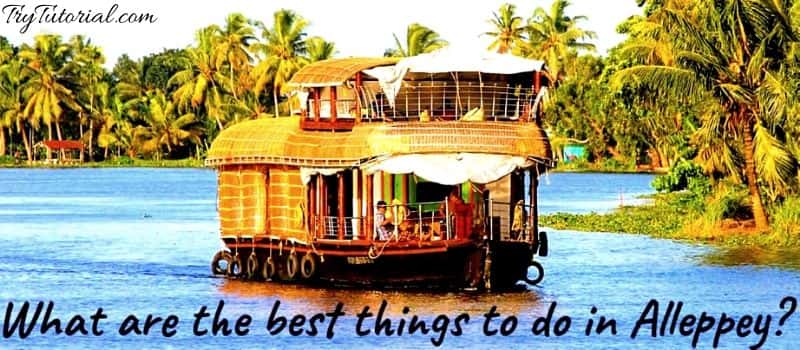 What are the best things to do in Alleppey