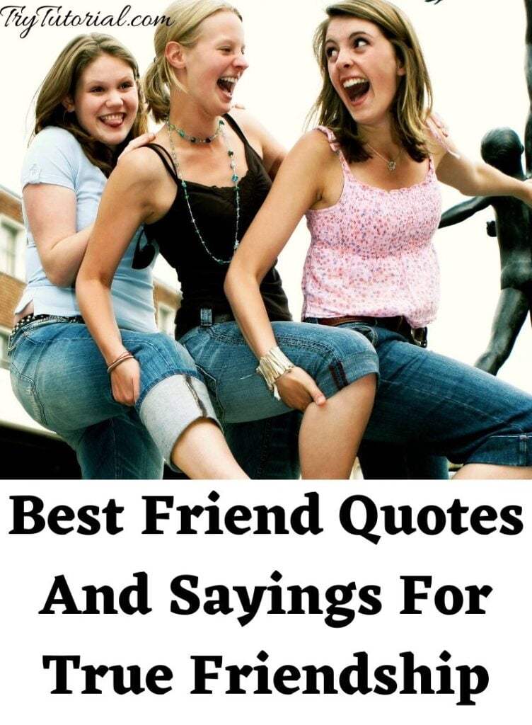 100 Best Friend Quotes And Sayings For True Friendship 2024 TryTutorial