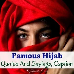 Quote Tentang Hijab