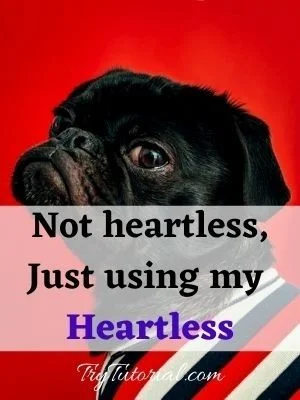 Heartless quote about me