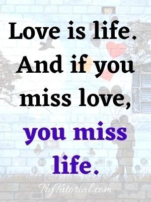 If you miss love, you miss life
