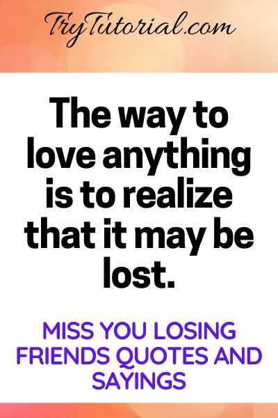Lost Friends Quotes and Sayings