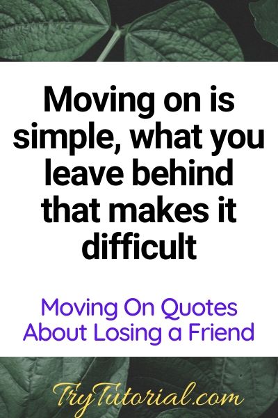 Moving On Quotes About Lost Friendship
