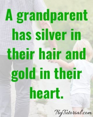 Best 50 Grandparents Bond Quotes To Make You Smile 21