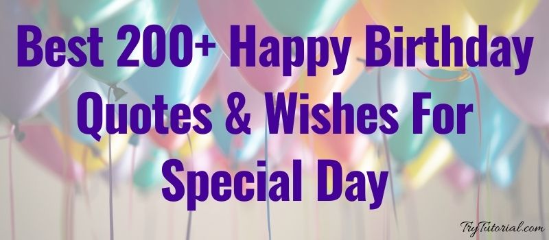 Best Happy Birthday Quotes & Wishes For Special Day