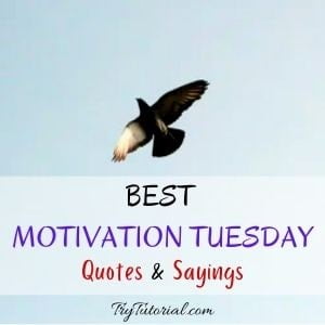 Best Motivation Tuesday Quotes