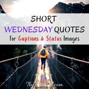 Short Wednesday Quotes For Caption