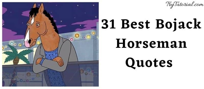31 Best Bojack Horseman Quotes 