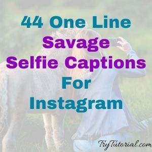 44 One Line Savage Selfie Captions For Instagram