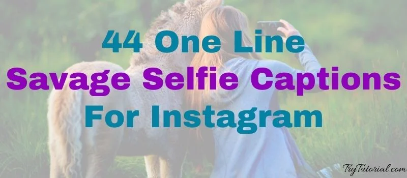 44 One Line Savage Selfie Captions For Instagram