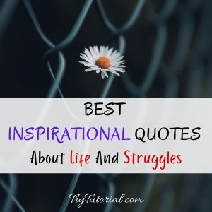 Best Inspirational Quotes About Life And Struggles