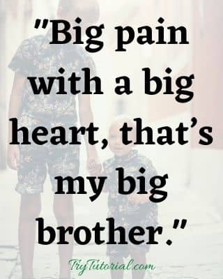 Big Brother And Sister Quotes For Instagram