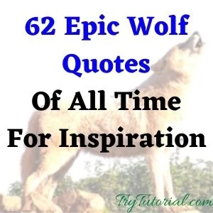 Epic Wolf Quotes