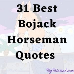 Inspirational, Funny Bojack Horseman Quotes