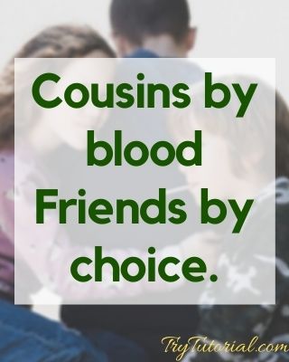 Family Captions For Cousins
