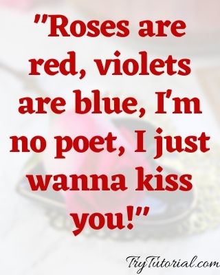 Funny Romantic Sayings For Her 
