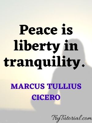 Peace Quotes And Peace Sayings