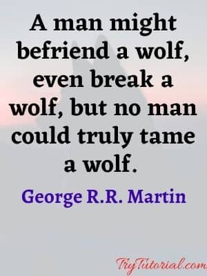  Wolves & Wolfpack Quotes