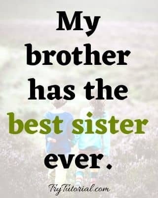 Best Brother Quotes From Sister For Cool Brother Sister Relation 2022.