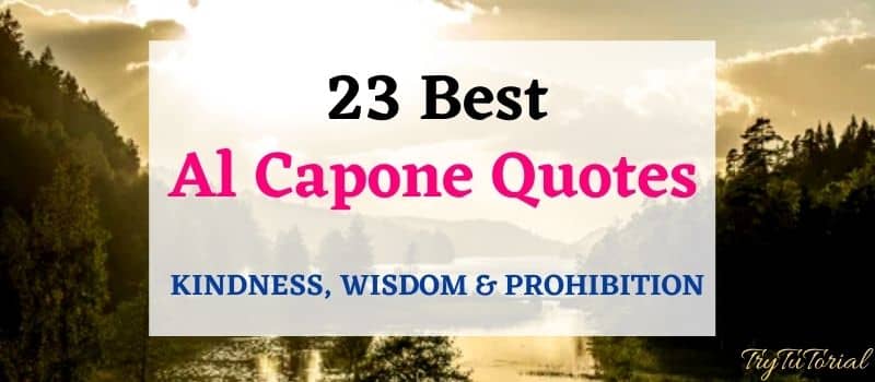 Al Capone Quotes 