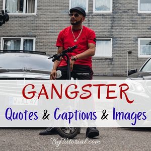 Gangster Quotes