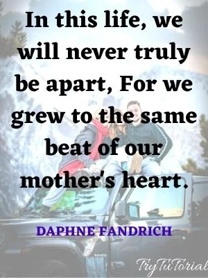 In this life, we will never truly be apart, For we grew to the same beat of our mother's heart. Daphne Fandrich
