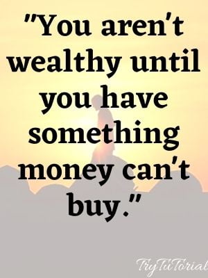You aren't wealthy until you have something money can't buy.
