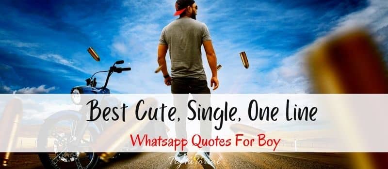 Best Cute, Single, One Line Whatsapp Quotes For Boy
