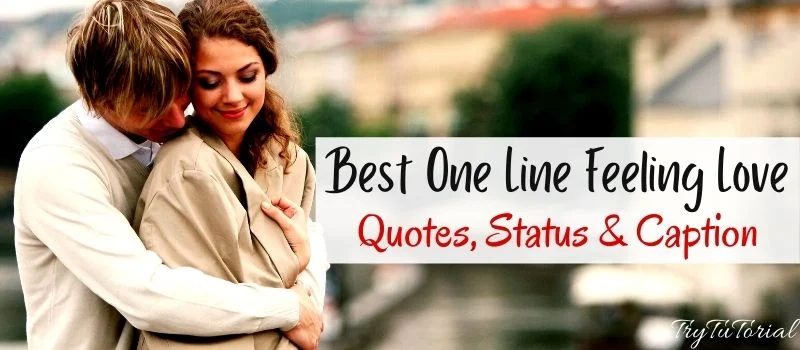 Best One Line Feeling Love Quotes, Status & Caption