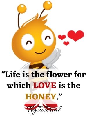 one line love is the honey