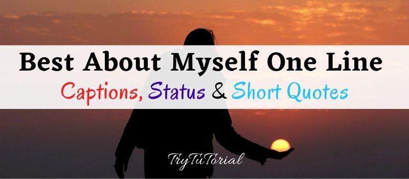 100+ Best One Line About Myself Status, Captions, Short Quotes 