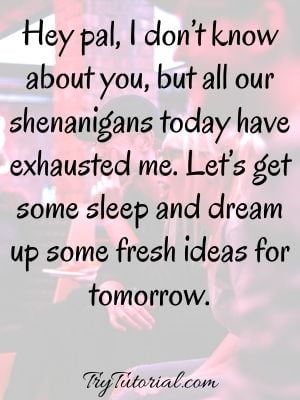 Cute Good Night Quotes For Friends