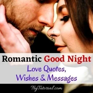 Romantic Good Night Love Quotes