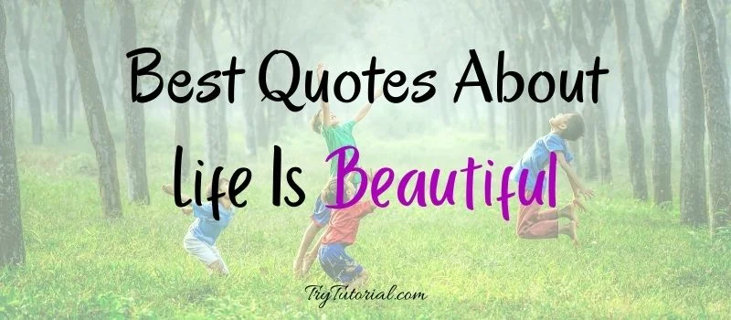 Awesome Quotes About Life Is Beautiful