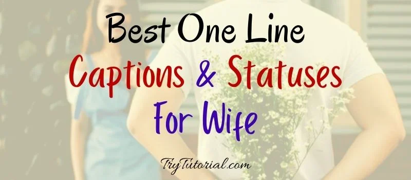 One Line Caption For Wife