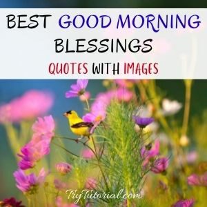 Best Good Morning Blessings Quotes