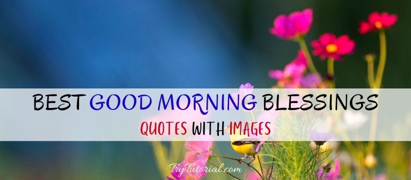 Best Good Morning Blessings Quotes & Images