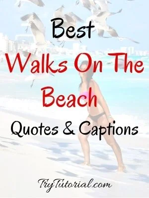 Best Walks On The Beach Quotes & Beach Captions 