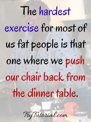 Funny Fat Quotes About Yourself