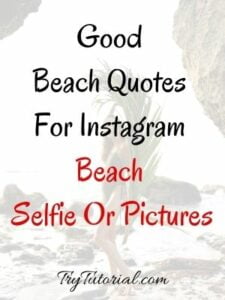 100+ Fabulous Beach Quotes Captions For Girls, Guys | Couples 2023