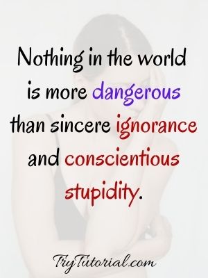 Quotes About Ignorance And Stupidity