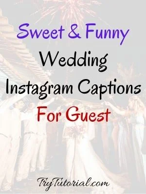 wedding captions for guests