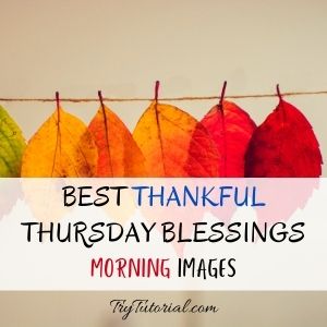 Thankful Thursday Blessings