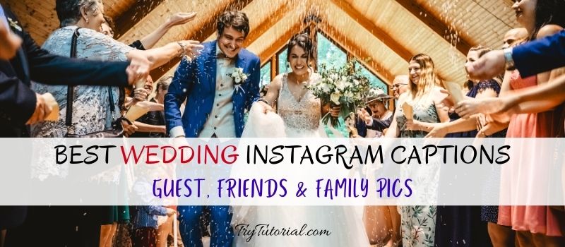 140+ Best Wedding Instagram Captions | Guest | Friends | Family | Funny |  2023 | TryTutorial