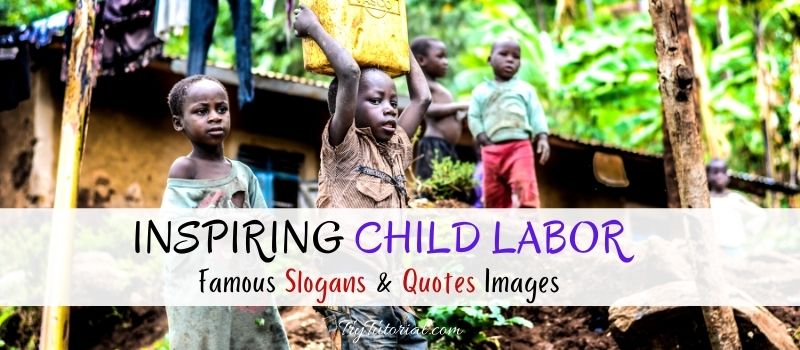 Child Labor Slogans & Quotes