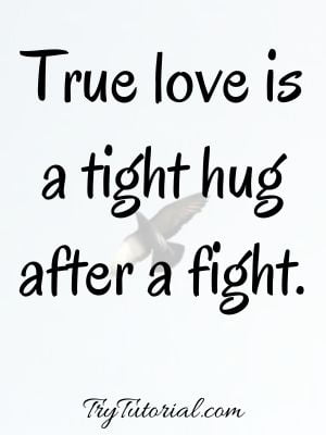 cute love fight quotes