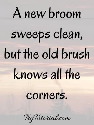 Famous Cleanliness Quotes