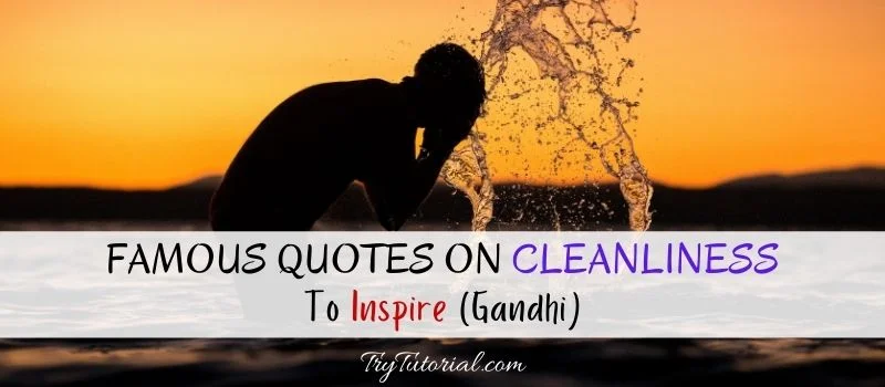 Famous Quotes On Cleanliness
