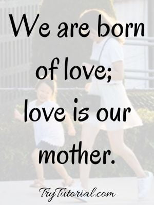 Mother Son Relationship Quotes