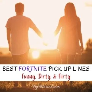 Dirty Fortnite Pick Up Lines